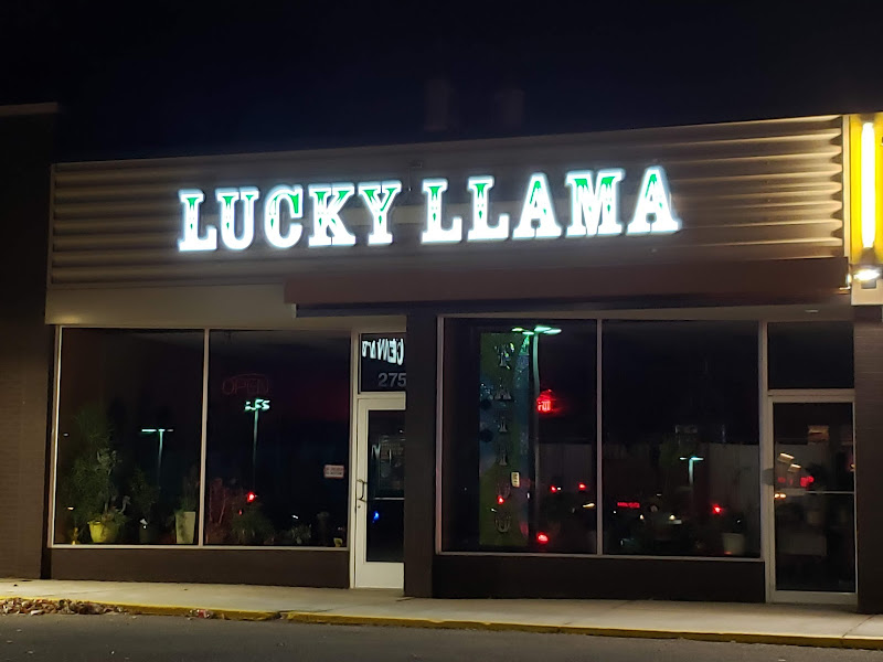 Lucky Llama Tattoo
