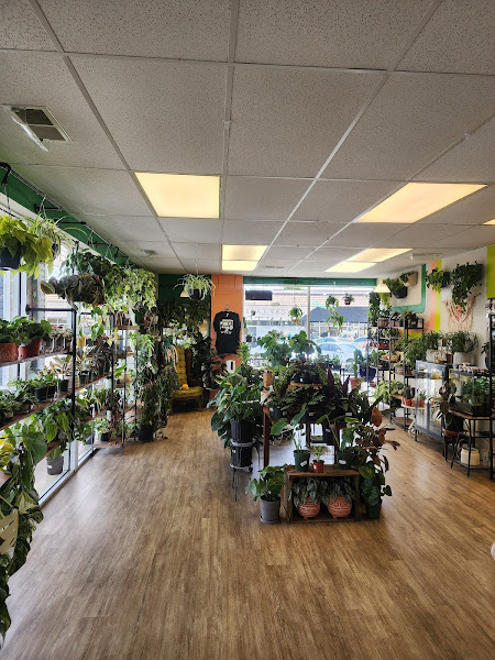 Hickory Lane Plants