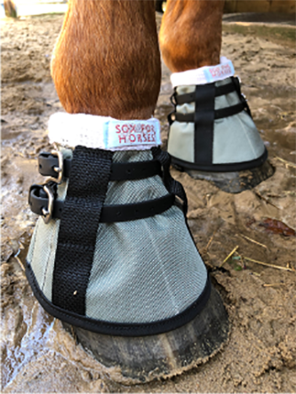 Sox For Horses!