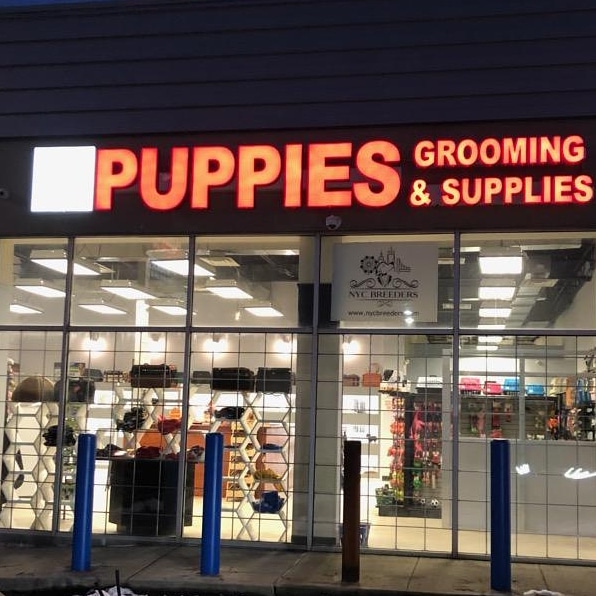NY Breeder we are now at 48 Westport Ave Norwalk CT