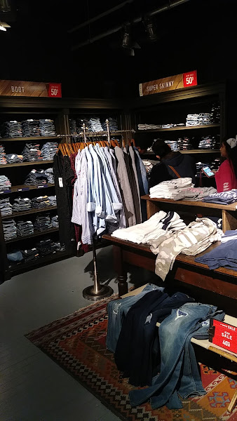 Hollister Co.
