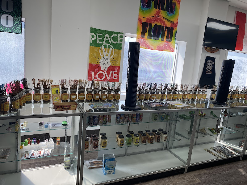 Electric Fog Vape Shop Prince Albert