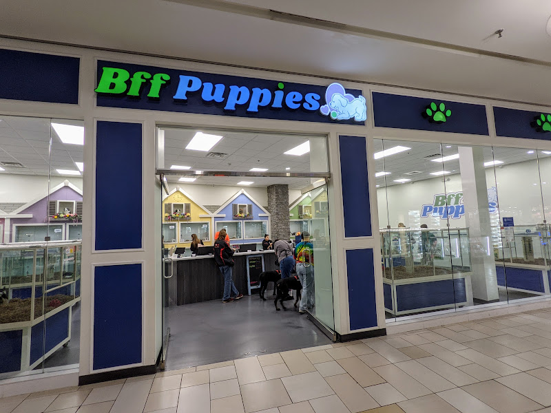 Bff Puppies