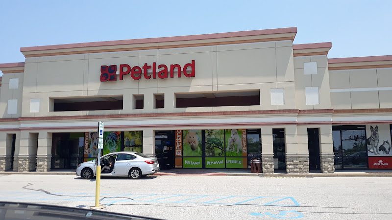 Petland St. Louis