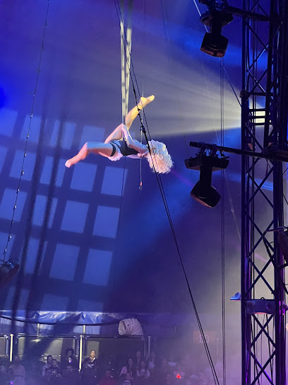 Flip Circus (Salem NH)