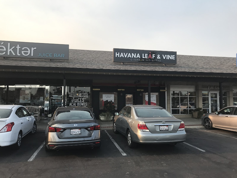 HAVANA LEAF AND VINE