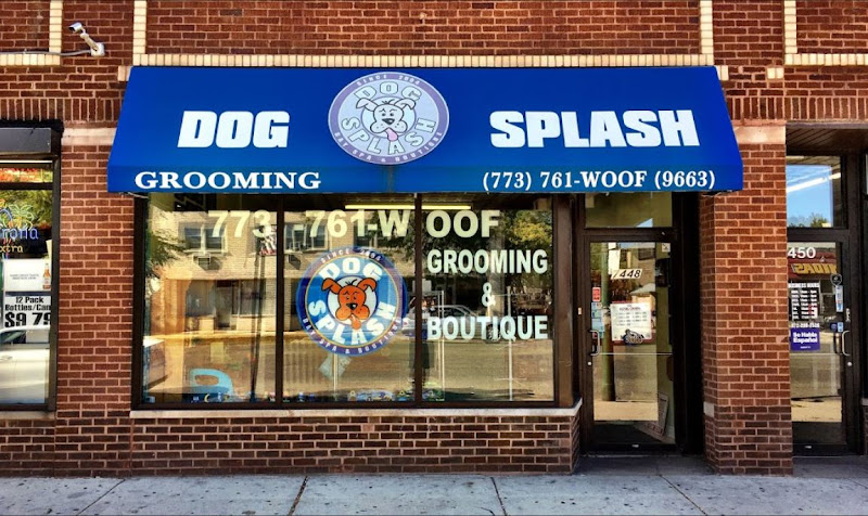 Dog Splash