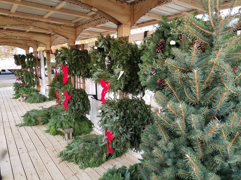 TROSA Tree Lot