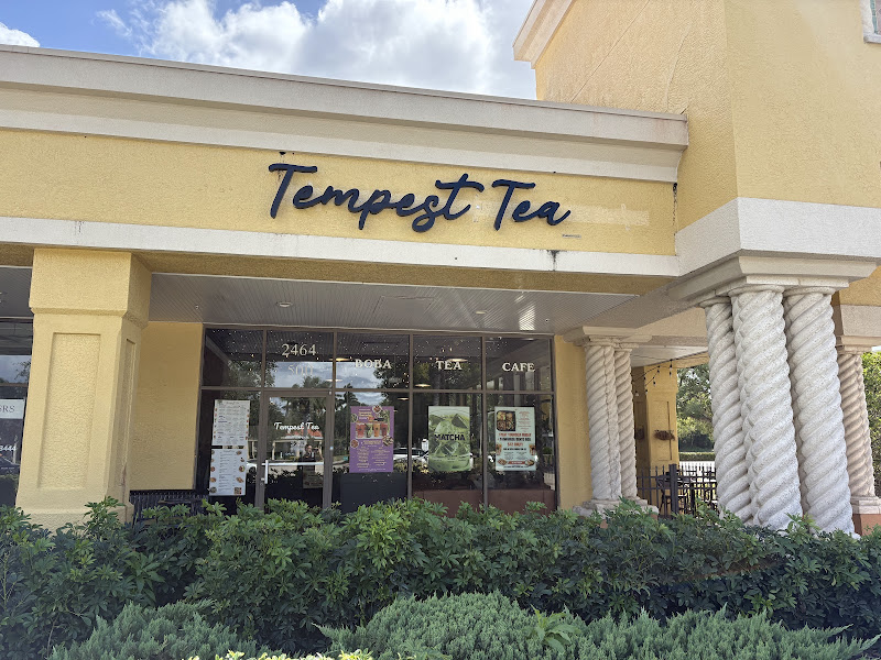 Tempest Tea | Dumplings & Bubble Tea