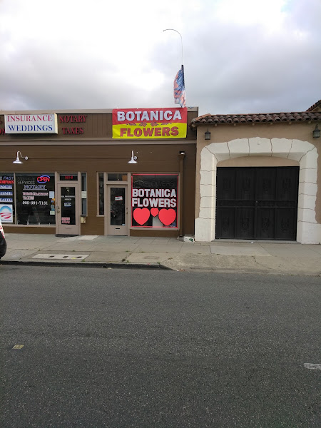 BOTANICA 7 POTENCIAS