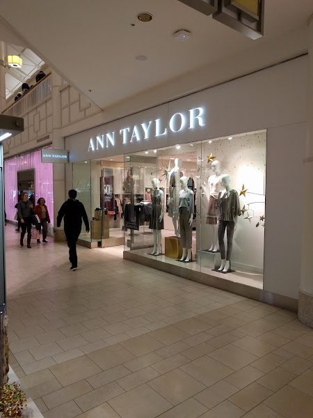 Ann Taylor