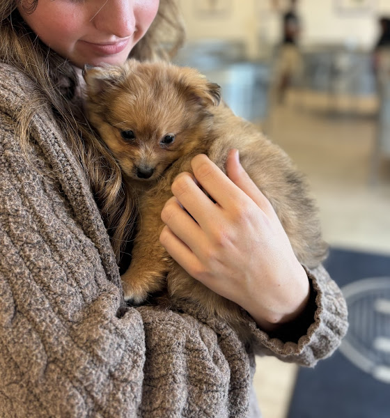 Idaho Puppy Co