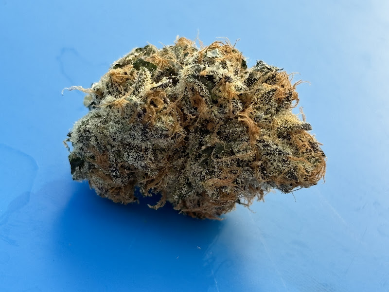 Exotic Weeds