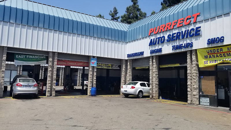 Purrfect Auto Service