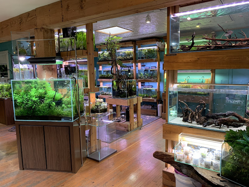Aquarium Zen