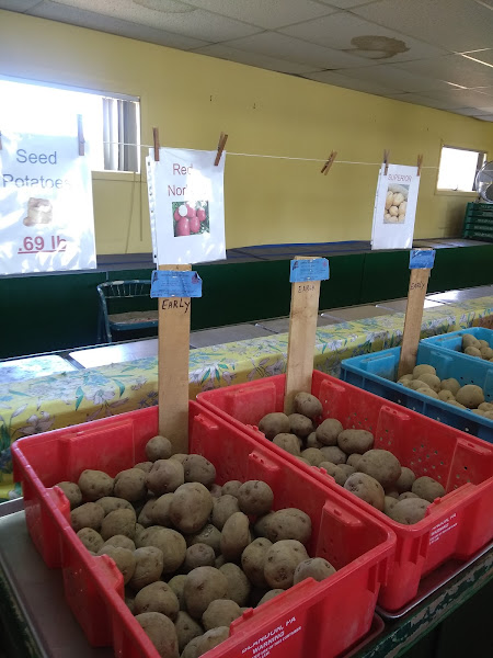 Joe's Fruit Market