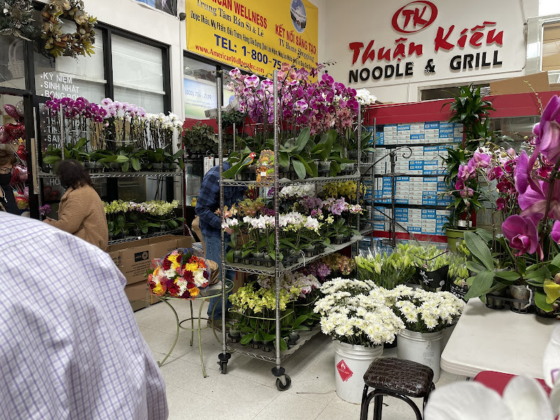 Hoa Sen Flowers