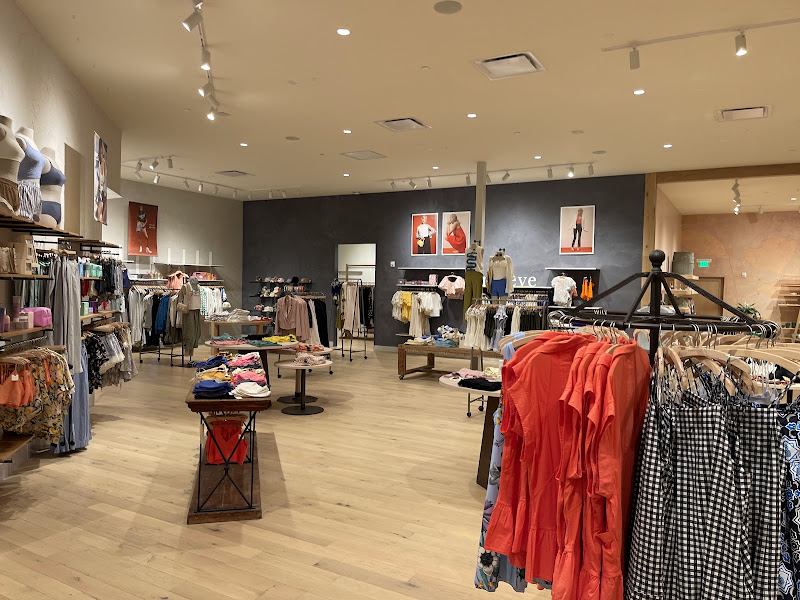 Anthropologie