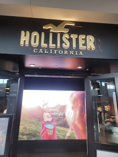 Hollister Co.