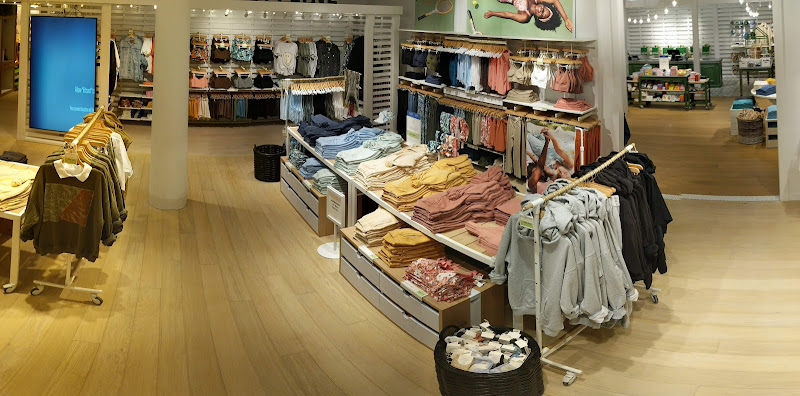 Aerie & OFFLINE