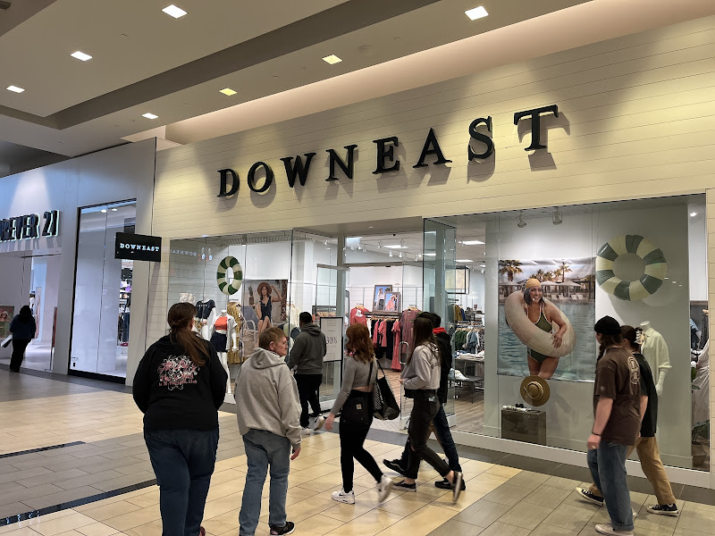 DownEast Basics