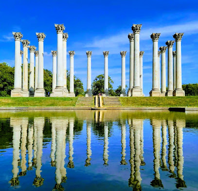 United States National Arboretum