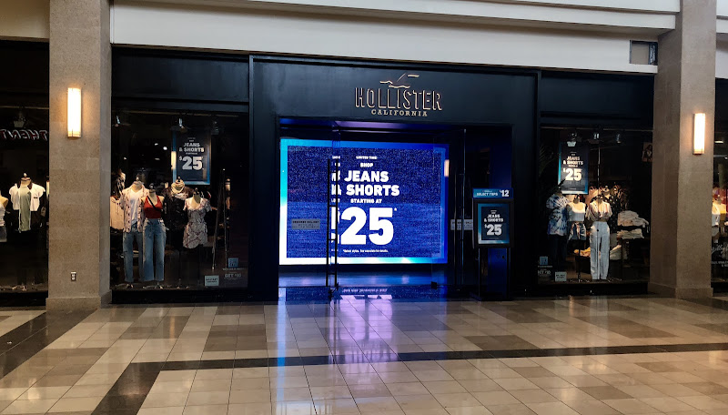 Hollister Co.
