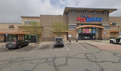 PetSmart Dog Training