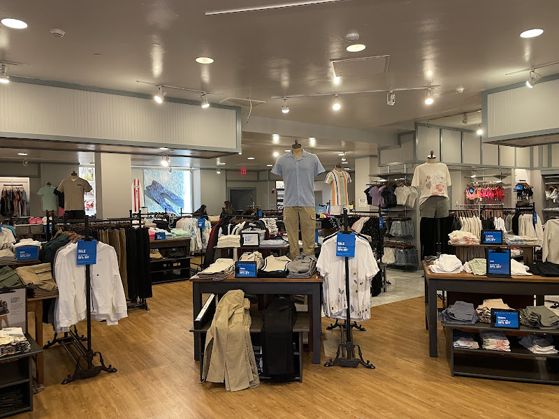Hollister Co.