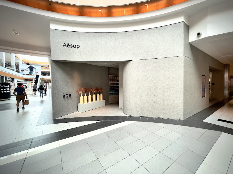 Aesop