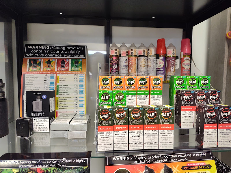 HXL Station Vape Store