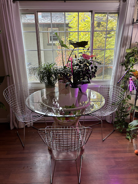 Reclaimed Furnishings