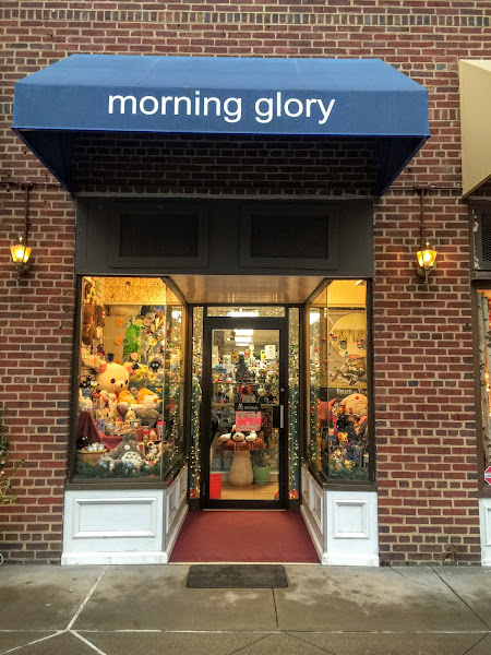 Morning Glory