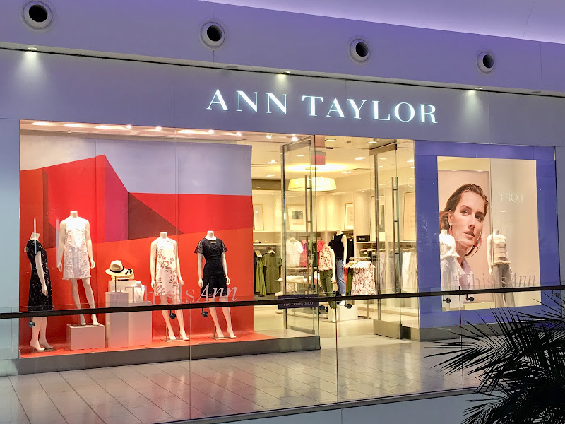 Ann Taylor