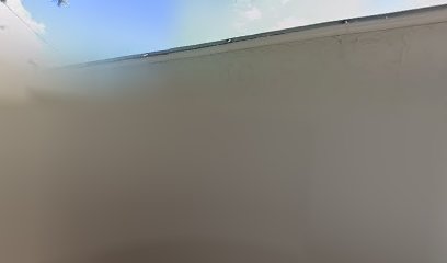 Wireless Vision