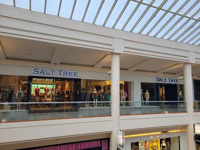 Salt Tree
