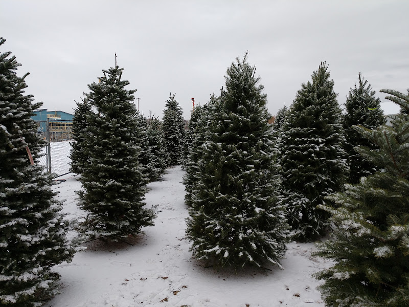 Meridian Optimist Christmas Tree Lot
