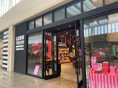Lush Cosmetics North Park