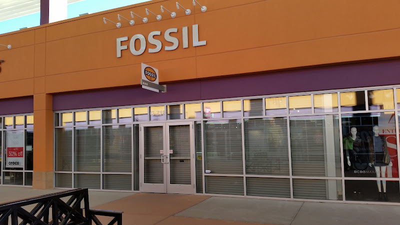 Fossil Outlet