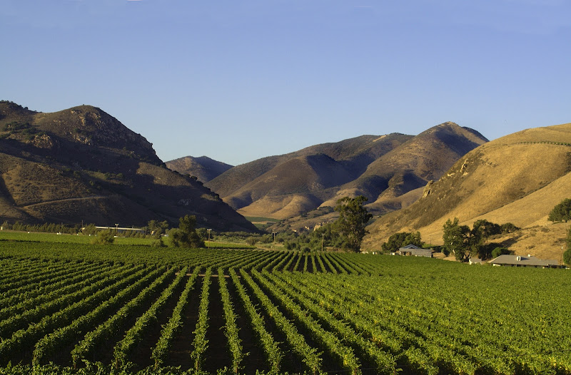Santa Maria Valley Chamber