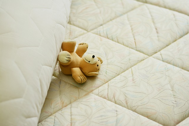 CASA Furniture