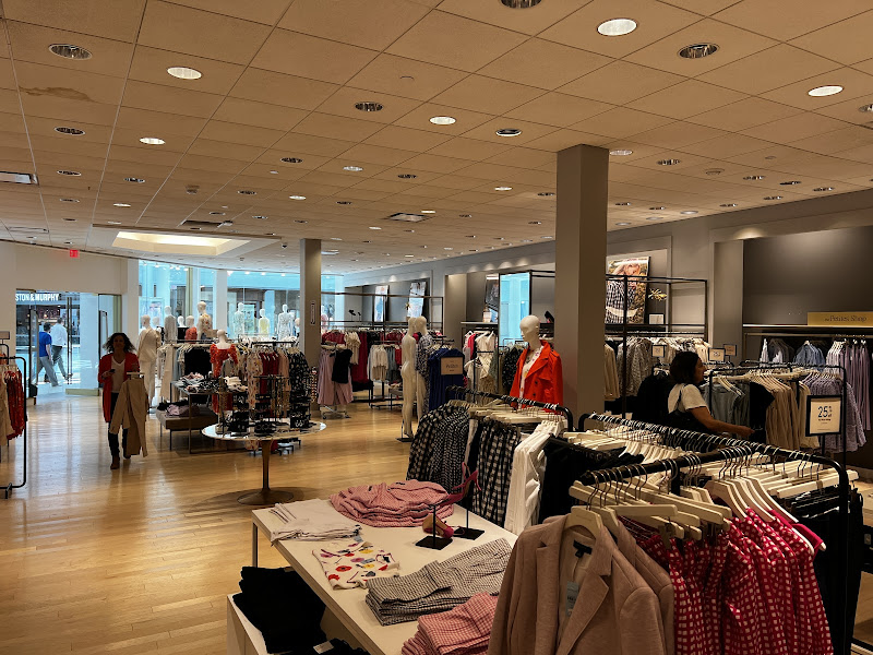 Ann Taylor