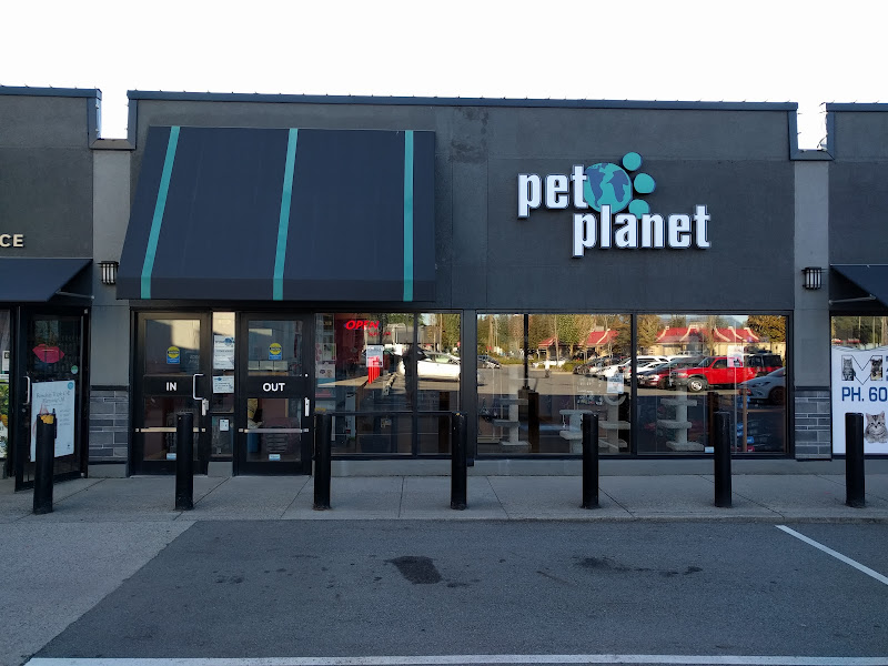 Pet Planet