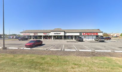 Verizon Business Services