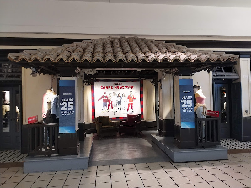 Hollister Co.