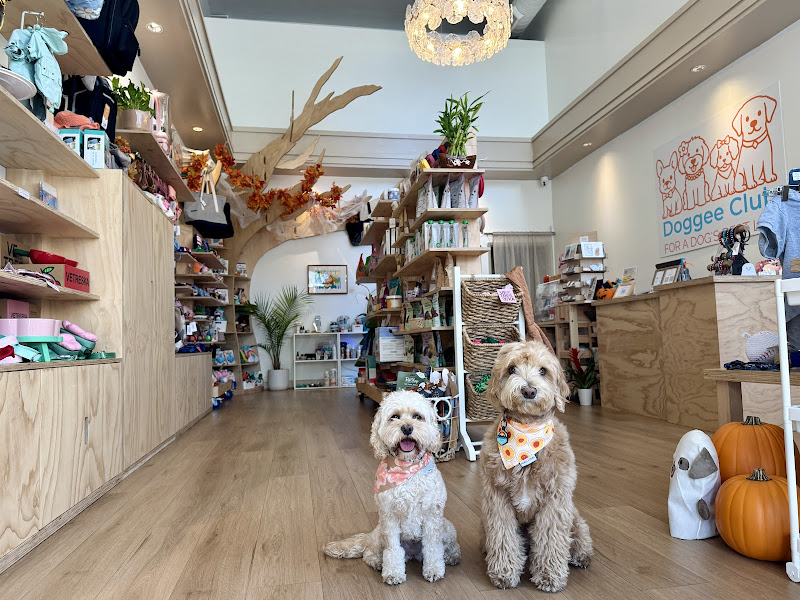 Doggee Club