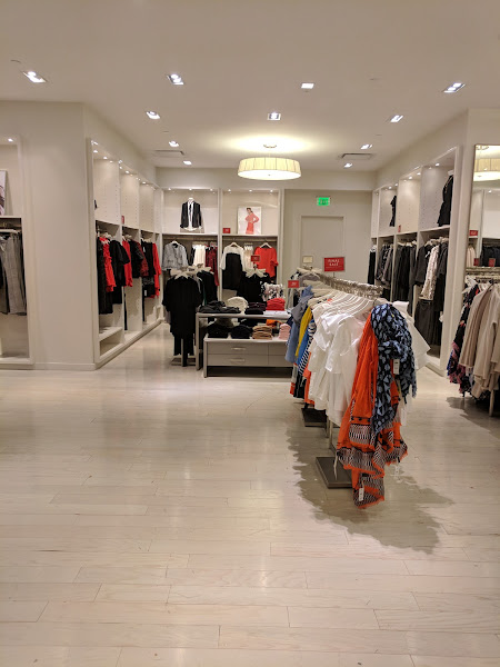 Ann Taylor