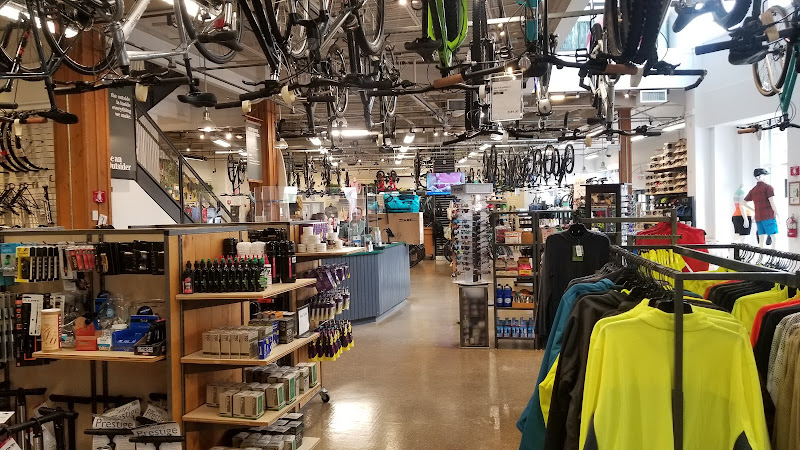 L.L.Bean