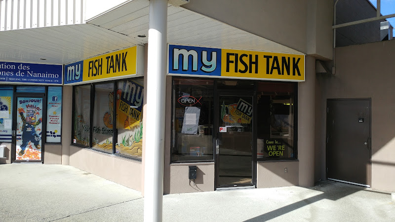 My Fish Tank