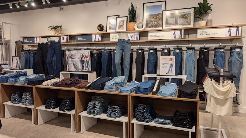 Abercrombie & Fitch